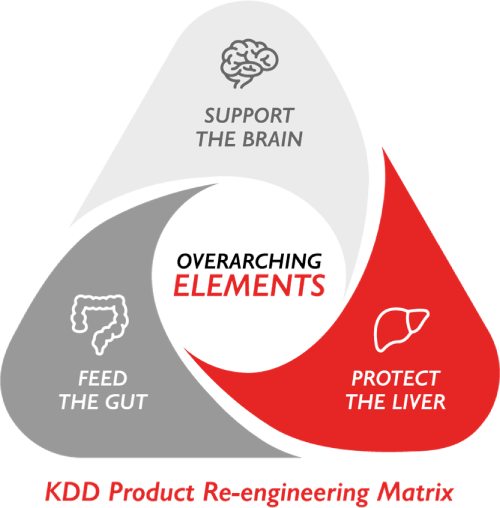 Brain-Gut-Liver Axis Diagram