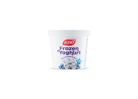 Frozen Yoghurt with Blueberry